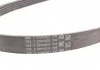 Ремень поликлиновой (Пр-во Contitech) CONTITECH 5PK1166 EXTRA (фото 2)