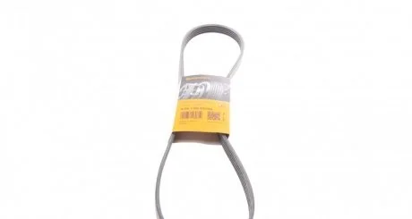 Ремінь генератора поліклиновий CONTITECH 5PK1166 EXTRA