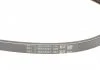 Ремень поликлиновой (Пр-во ContiTech) CONTITECH 3PK765 (фото 3)