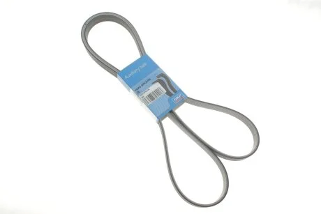 Поликлиновой ремінь SKF VKMV 6PK2196