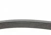 Ремень поликлиновой (Пр-во ContiTech) CONTITECH 6PK2250 (фото 2)
