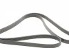Ремень поликлиновой (Пр-во ContiTech) CONTITECH 6PK2250 (фото 5)