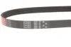 Ремінь GATES 6PK905 (фото 2)