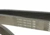 Ремень поликлин. (пр-во) DAYCO 7PK1790 (фото 3)