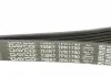 Ремень поликлин. (пр-во) DAYCO 7PK1790 (фото 4)