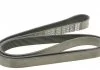 Ремень поликлин. (пр-во) DAYCO 7PK1790 (фото 5)