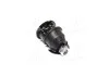 Опора кульова нижня Subaru Tribeca B9 06- (вир-во) CTR CBSU5 (фото 1)