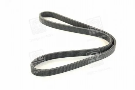 Ремень поликлин. (пр-во) SKF VKMV 6DK1195