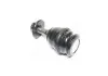 Опора кульова нижня Subaru Legacy 20- Outback 20- (вир-во) CTR CBSU8 (фото 3)