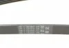 Ремень поликлиновой (Пр-во ContiTech) CONTITECH 5PK1765 (фото 3)