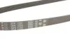 Дорiжковий ремінь GATES 5PK1030 (фото 4)