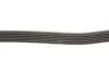 Ремень поликлин. (пр-во) DAYCO 6PK2210 (фото 3)