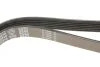 Ремень поликлин. (пр-во) DAYCO 6PK2210 (фото 4)