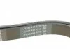 Ремень поликлин. (пр-во) DAYCO 6PK1710 (фото 3)
