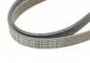 Полікліновий ремінь MERCEDES-BENZ W164 ML 300 CDI 02/10-12/11 (Вир-во Contitech) CONTITECH 6PK2035 (фото 3)