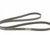 Полікліновий ремінь MERCEDES-BENZ W164 ML 300 CDI 02/10-12/11 (Вир-во Contitech) CONTITECH 6PK2035 (фото 5)