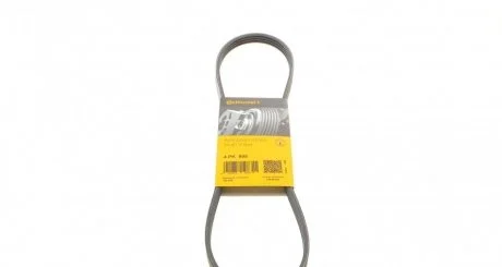 Ремень поликлиновой (Пр-во ContiTech) CONTITECH 4PK895