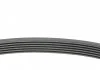 Поликлиновой ремень (Пр-во Contitech) CONTITECH 6PK701 ELAST (фото 2)