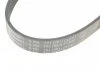 Поликлиновой ремень (Пр-во Contitech) CONTITECH 6PK701 ELAST (фото 4)