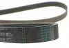 Ремень поликлиновой (Пр-во ContiTech) CONTITECH 6PK1570 (фото 3)