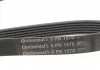 Ремень поликлиновой (Пр-во ContiTech) CONTITECH 6PK1570 (фото 4)