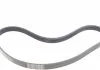 Поліклиновий ремінь (6PK1019) FORD FIESTA V, FUSION MAZDA 2 1.2-1.6 11.01-12.12 CONTITECH 6PK1019 ELAST T1 (фото 11)