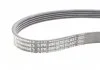 Поліклиновий ремінь (6PK1019) FORD FIESTA V, FUSION MAZDA 2 1.2-1.6 11.01-12.12 CONTITECH 6PK1019 ELAST T1 (фото 12)