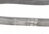 Поліклиновий ремінь (6PK1019) FORD FIESTA V, FUSION MAZDA 2 1.2-1.6 11.01-12.12 CONTITECH 6PK1019 ELAST T1 (фото 13)