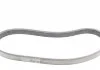 Поліклиновий ремінь (6PK1019) FORD FIESTA V, FUSION MAZDA 2 1.2-1.6 11.01-12.12 CONTITECH 6PK1019 ELAST T1 (фото 4)