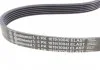Поліклиновий ремінь (6PK1019) FORD FIESTA V, FUSION MAZDA 2 1.2-1.6 11.01-12.12 CONTITECH 6PK1019 ELAST T1 (фото 8)