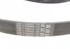 Поліклиновий ремінь (6PK1019) FORD FIESTA V, FUSION MAZDA 2 1.2-1.6 11.01-12.12 CONTITECH 6PK1019 ELAST T1 (фото 9)