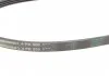 Поліклиновий ремінь CHERY TIGGO FORD ESCORT V, ESCORT VI HYUNDAI LANTRA I, SANTAMO, SONATA II, SONATA III MAZDA 323 C V, 323 F V, 323 F VI, 323 III, 323 P V, 323 S V 1.3-6.7 11.84-12.09 CONTITECH 4PK990 (фото 2)