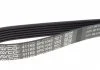 Дорiжковий ремінь DAYCO 6PK1045 (фото 3)