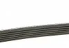 Ремень поликлин. (пр-во) DAYCO 6PK2160 (фото 2)