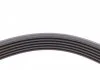 Поликлиновой ремень BMW 1 (E81) 116 d (Пр-во Contitech) CONTITECH 6PK1605 (фото 3)