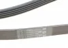 Ремень поликлиновой (Пр-во ContiTech) CONTITECH 5PK1715 (фото 3)