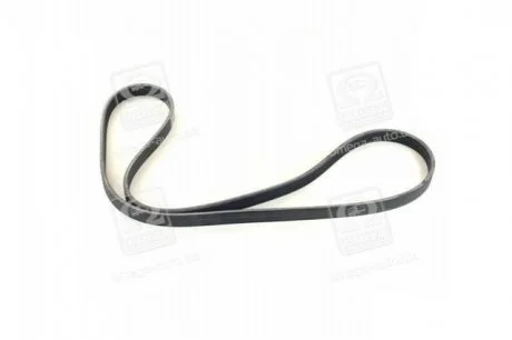 Ремень поликлин. (пр-во) SKF VKMV 5PK1300