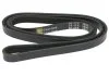 Ремень ручейковый Starline STARLINE SR 4PK1540 (фото 1)