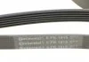 Ремень поликлиновой (Пр-во ContiTech) CONTITECH 6PK1915 (фото 4)