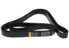Ремень ручейковый Starline STARLINE SR 7PK2035 (фото 2)