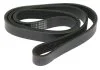Ремень ручейковый Starline STARLINE SR 6PK1310 (фото 1)