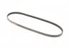 Поліклінові ремені Micro-V StretchFit (Вир-во Gates) GATES 4PK903SF (фото 2)