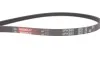 Поликлиновые ремни Micro-V (Пр-во Gates) GATES 3PK860 (фото 4)