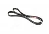 Поликлиновые ремни Micro-V XS (Пр-во Gates) GATES 6PK1600XS (фото 3)