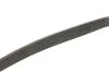 Ремінь GATES 6PK691683SF (фото 3)