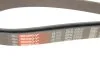 Ремень поликлин. (пр-во Gates) GATES 6PK2305 (фото 4)