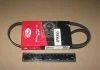 Ремень поликлин. CHEVROLET MATIZ (пр-во Gates) GATES 4PK955 (фото 2)
