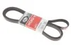 Поликлиновые ремни Micro-V (Пр-во Gates) GATES 6PK2500 (фото 1)