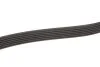 Поликлиновые ремни Micro-V (Пр-во Gates) GATES 6PK2500 (фото 4)