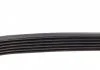 Доріжковий пас DAYCO 6PK1165 (фото 3)